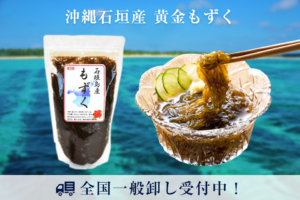 沖縄石垣産 黄金もずく全国一般卸し受付中(法人・個人 可)